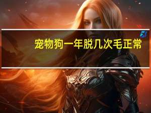 宠物狗一年脱几次毛正常
