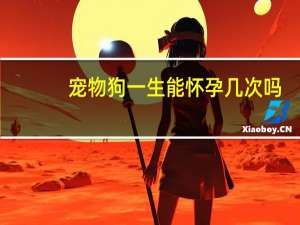 宠物狗一生能怀孕几次吗