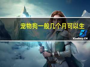 宠物狗一般几个月可以生