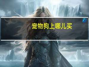 宠物狗上哪儿买