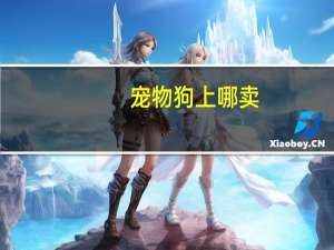 宠物狗上哪卖