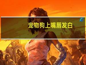 宠物狗上嘴唇发白