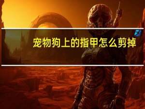 宠物狗上的指甲怎么剪掉