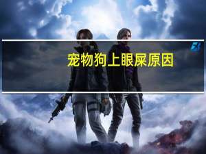 宠物狗上眼屎原因