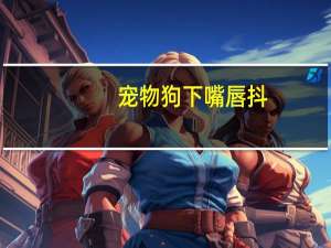 宠物狗下嘴唇抖