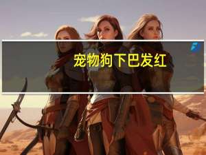 宠物狗下巴发红