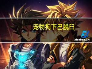 宠物狗下巴脱臼