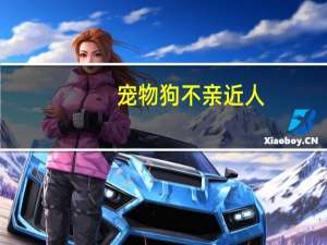宠物狗不亲近人