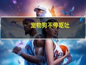 宠物狗不停呕吐