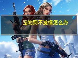 宠物狗不发情怎么办