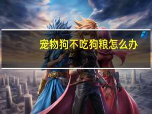 宠物狗不吃狗粮怎么办