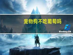 宠物狗不吃葡萄吗