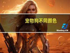 宠物狗不同颜色