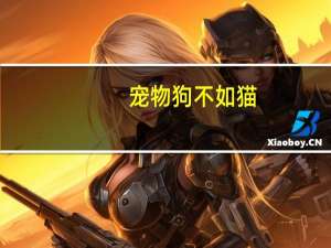 宠物狗不如猫
