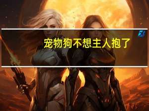 宠物狗不想主人抱了