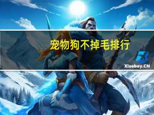 宠物狗不掉毛排行