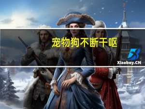 宠物狗不断干呕