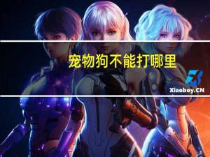 宠物狗不能打哪里