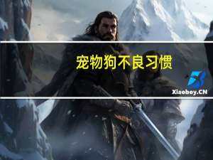 宠物狗不良习惯