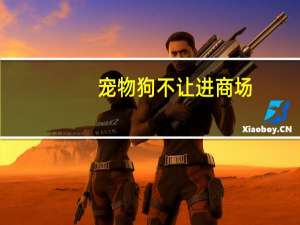 宠物狗不让进商场