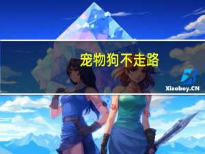 宠物狗不走路