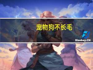 宠物狗不长毛