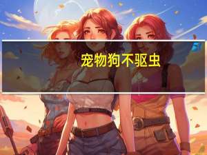 宠物狗不驱虫