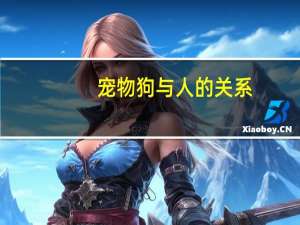 宠物狗与人的关系