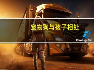 宠物狗与孩子相处