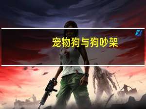 宠物狗与狗吵架