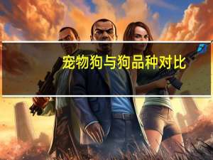 宠物狗与狗品种对比