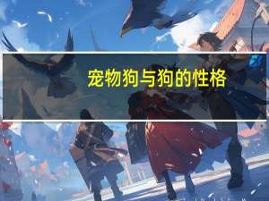 宠物狗与狗的性格