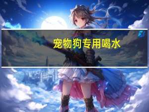 宠物狗专用喝水