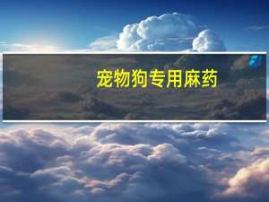 宠物狗专用麻药
