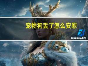 宠物狗丢了怎么安慰