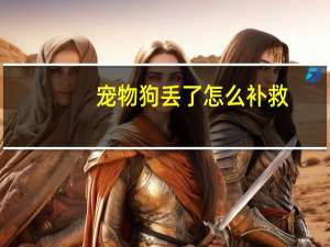 宠物狗丢了怎么补救