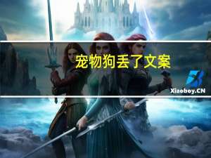 宠物狗丢了文案
