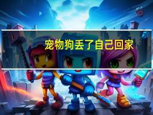 宠物狗丢了自己回家