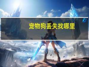 宠物狗丢失找哪里