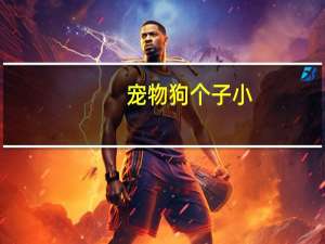 宠物狗个子小