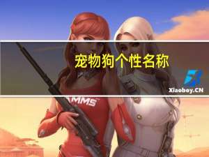 宠物狗个性名称