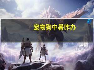 宠物狗中暑咋办