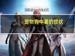 宠物狗中暑的症状
