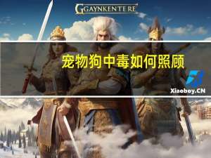 宠物狗中毒如何照顾