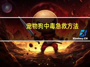 宠物狗中毒急救方法