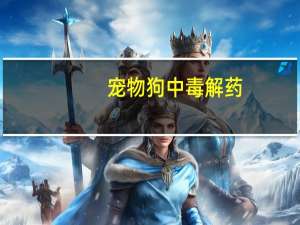 宠物狗中毒解药