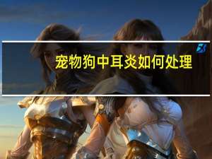 宠物狗中耳炎如何处理