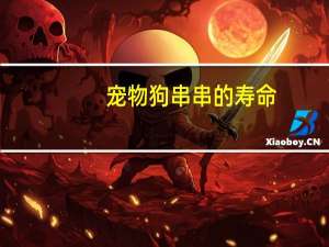 宠物狗串串的寿命