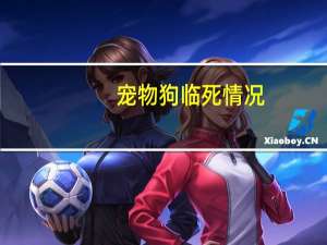 宠物狗临死情况