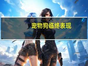 宠物狗临终表现